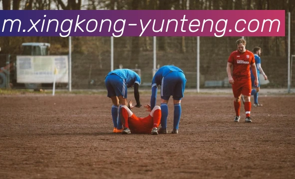 星空体育平台生态图