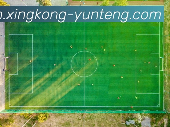 星空体育APP 封面图